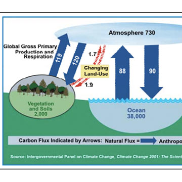 A Simple Model for Atmospheric Carbon Dioxide