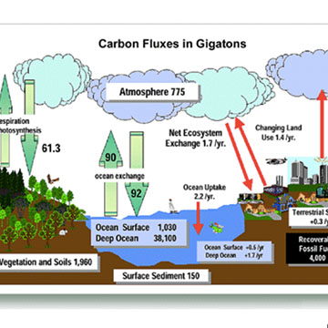 Carbon Dioxide- Where Does it All Go?