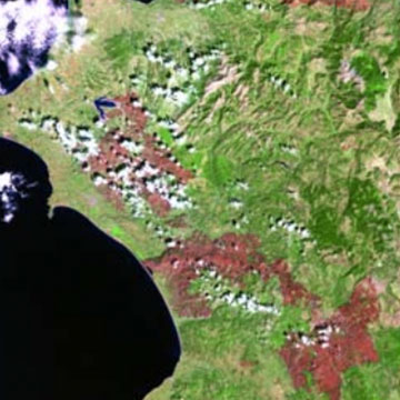Estimating Biomass Loss from a Large Fire