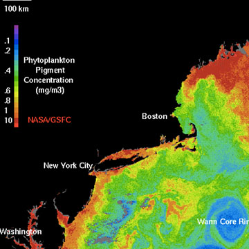 Studying Ocean Plankton from Space