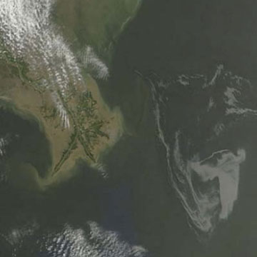 The Great Gulf Oil Catastrophe of 2010