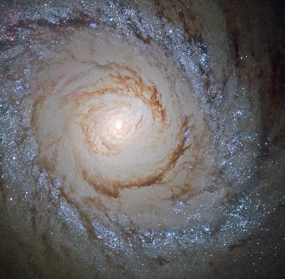 Large spiral galaxy with bright spot in the center; large arms spiraling around the center, the inner arms are dark brown gas while the outer arms are bluish stars and gas.
