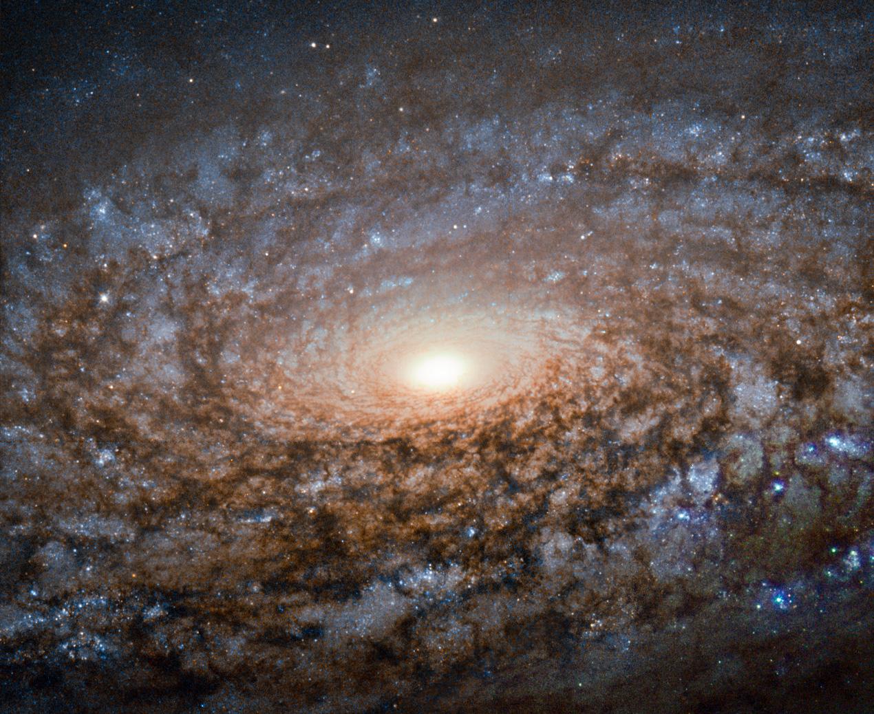 Large spiral of dust and gas orbiting bright white center of this galaxy image. The spiral is dusty and dark brown with dark blue interspersed.