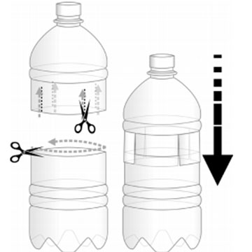 Earth System in a Bottle