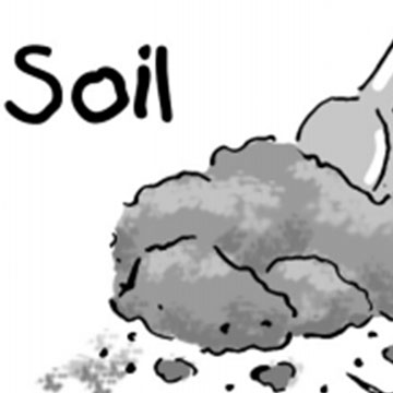 We All Need Soil!