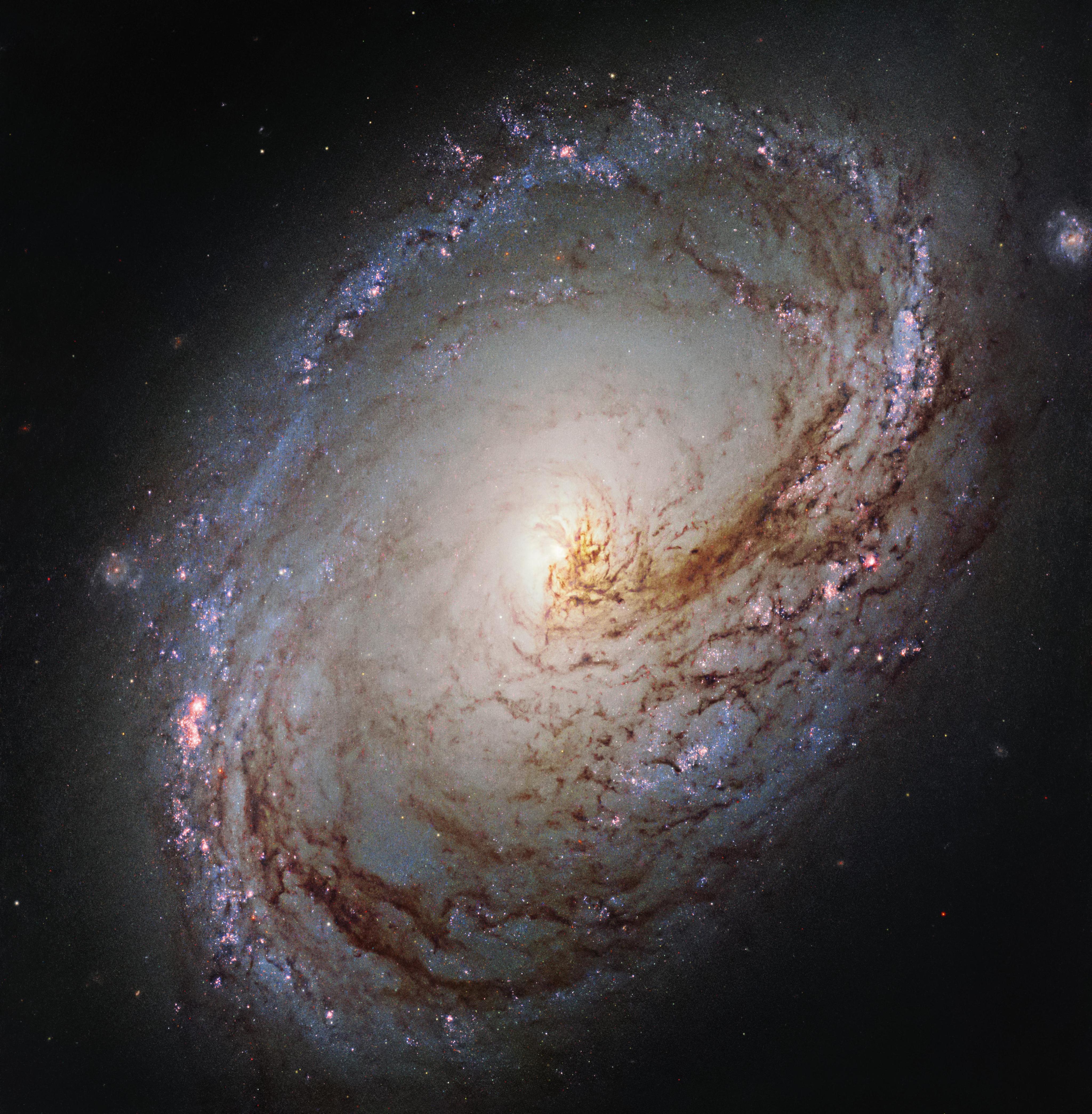 A spiral galaxy with dark dust on the front side and star formation on the back side.
