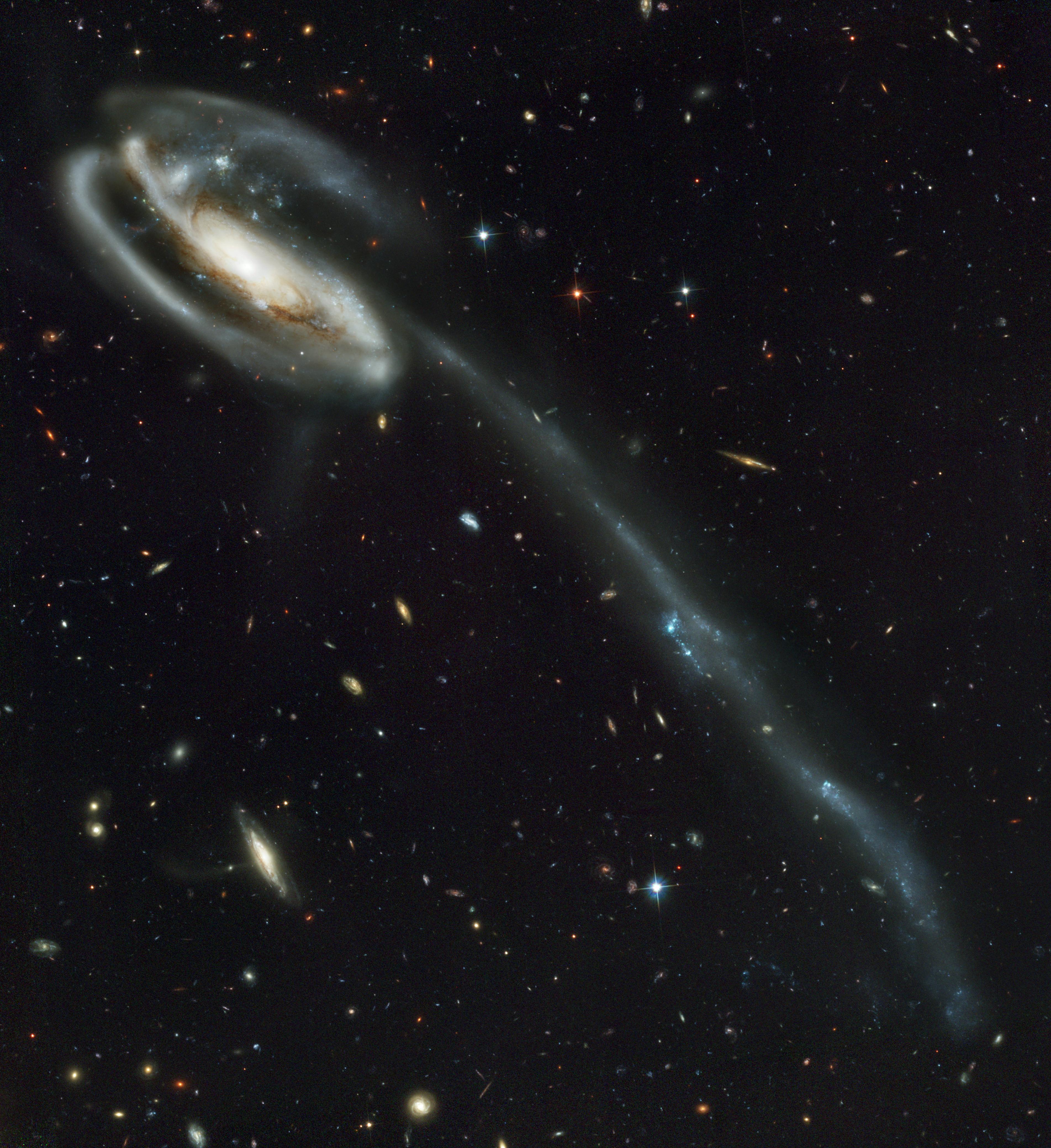 At the top left of the image, a white spiral galaxy is seen with a long blue tail going diagonal down to the bottom right. In the background there are many distant galaxies.