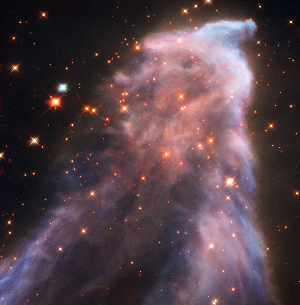 Large purple cloud of dust and gas. Within it there are many orange stars. The image almost appears like a man standing in profile.