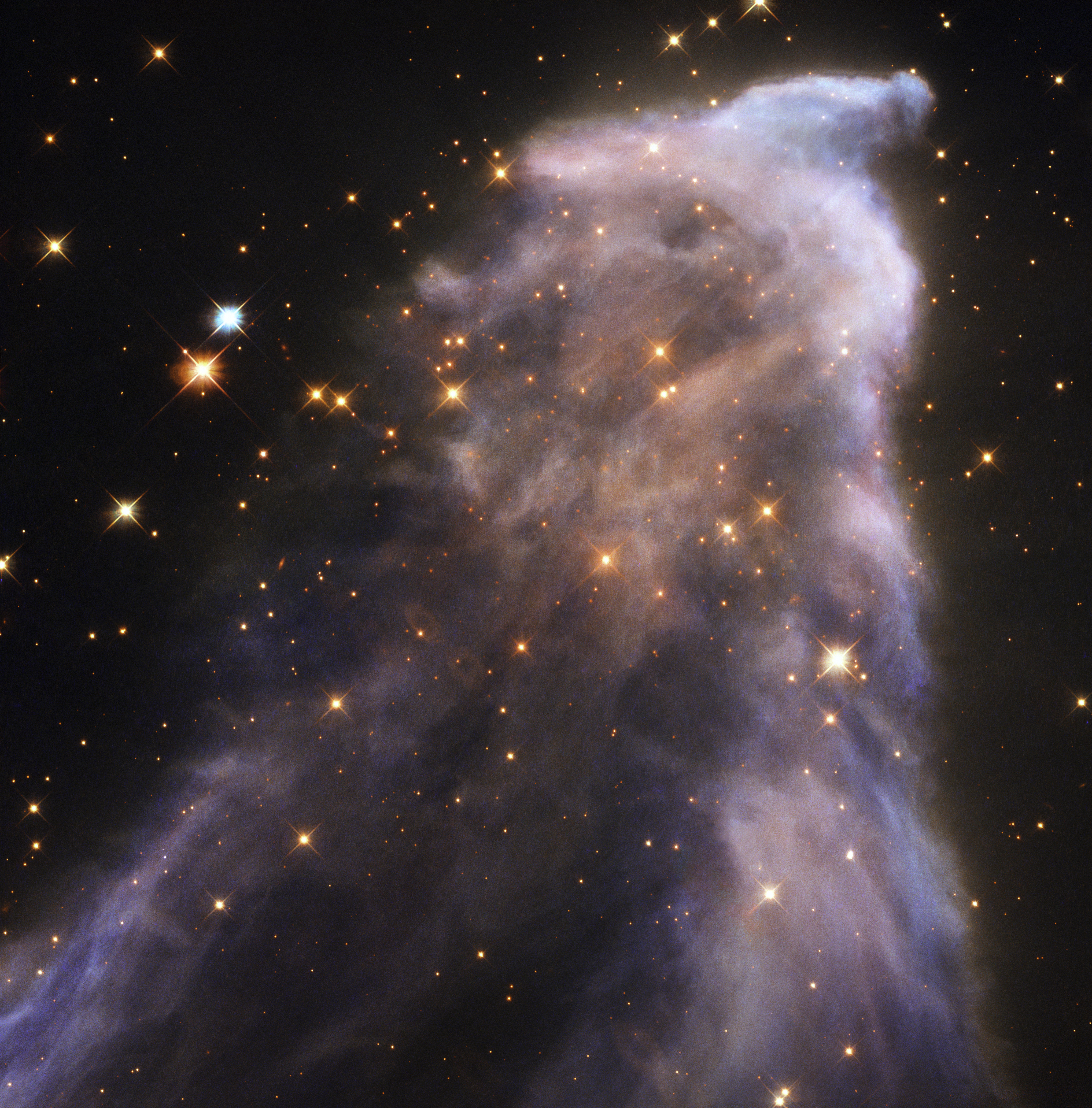 Large purple cloud of dust and gas. Within it there are many orange stars. The image almost appears like a man standing in profile.