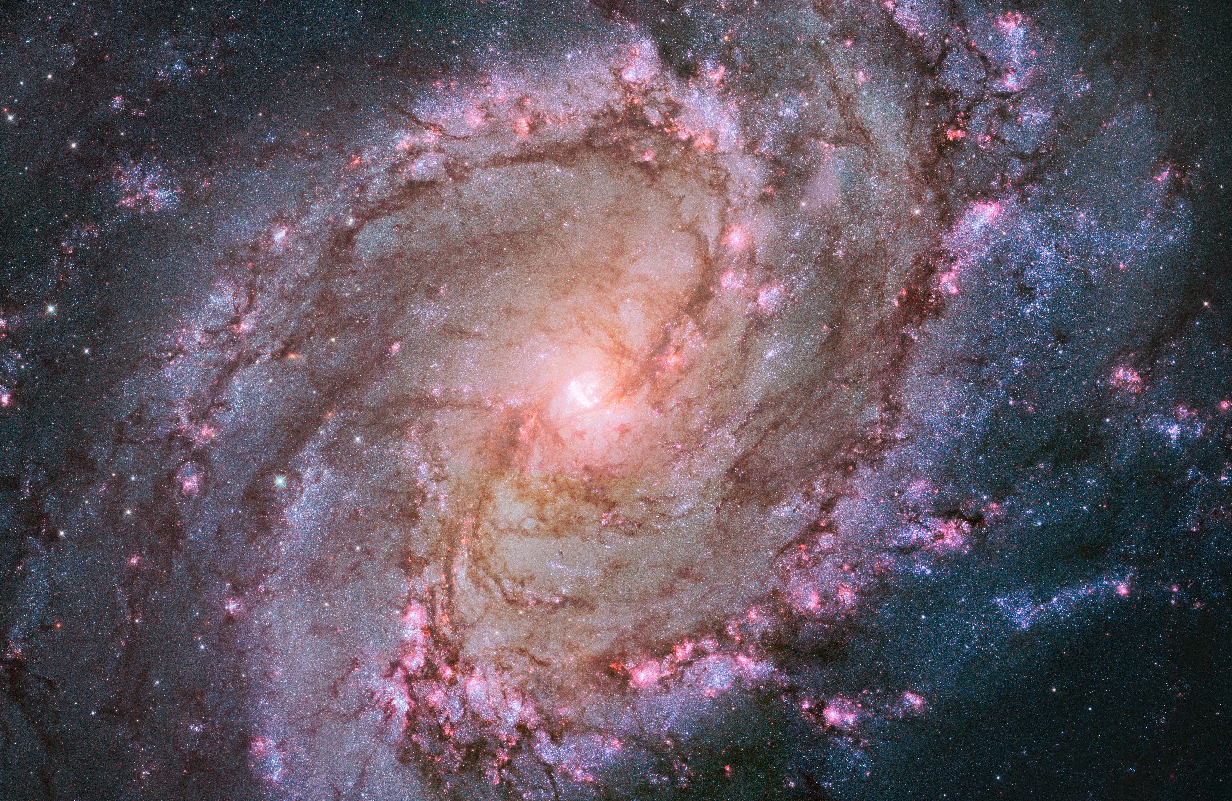 Galaxy with soft purple arms and blue stars spiraling around its bright white center.