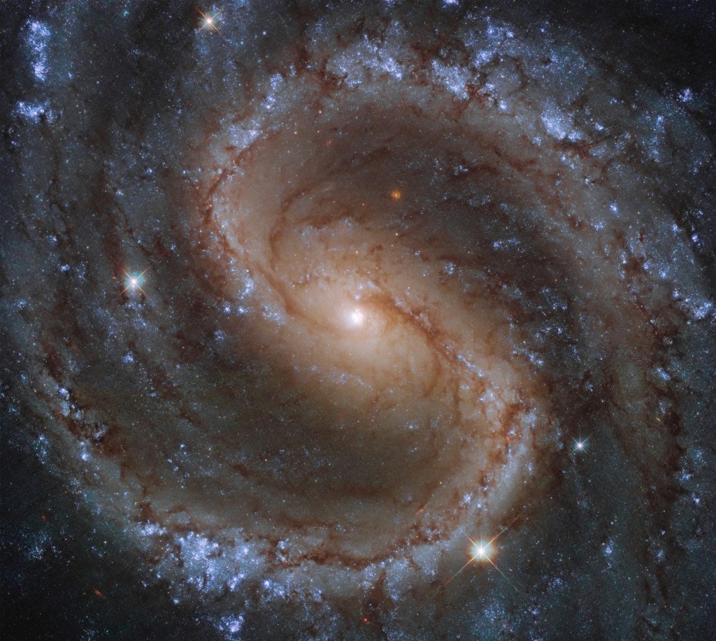 Arms swirl of new blue stars around a central region of older yellow stars in this galaxy image.