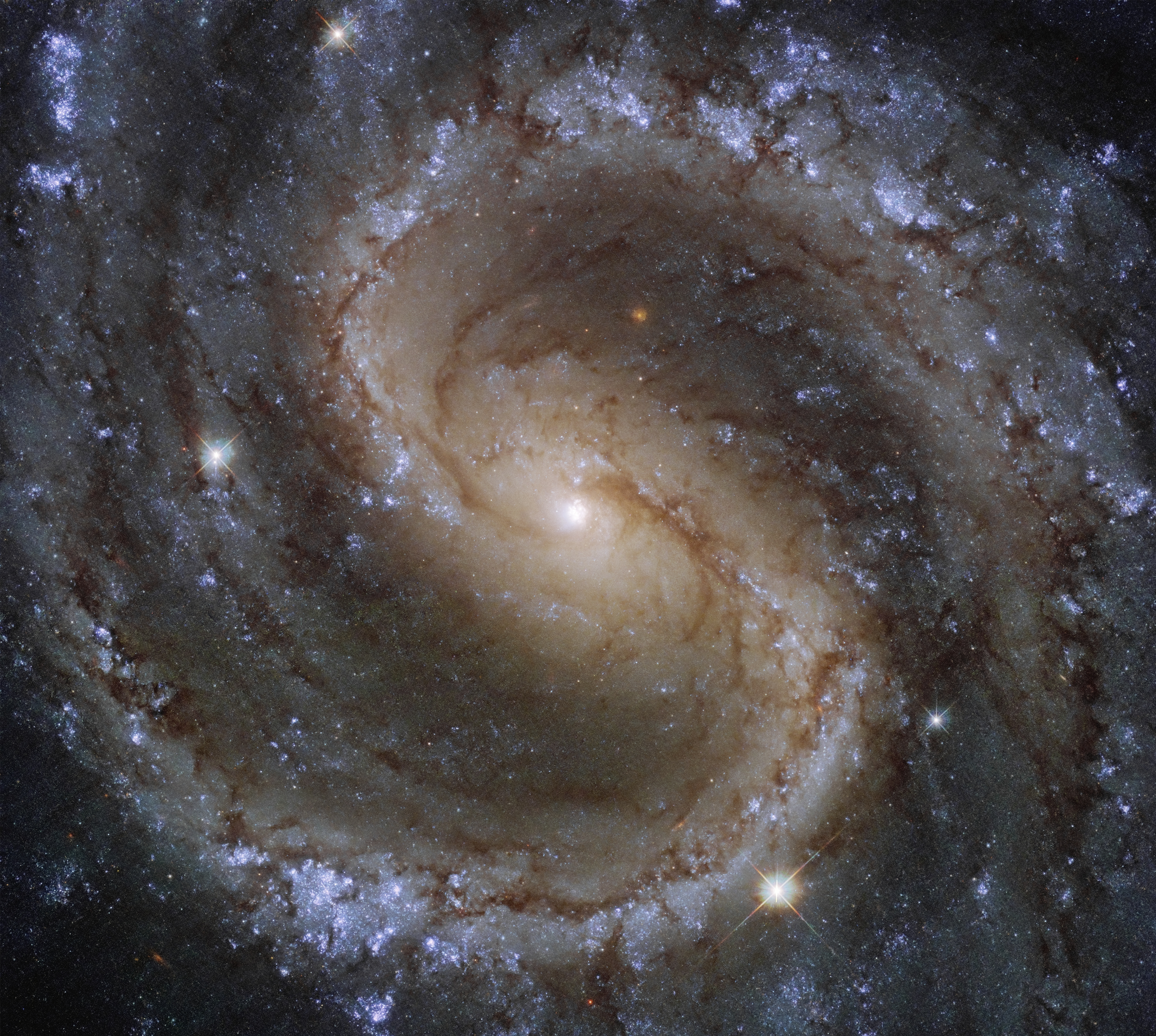 Arms swirl of new blue stars around a central region of older yellow stars in this galaxy image.