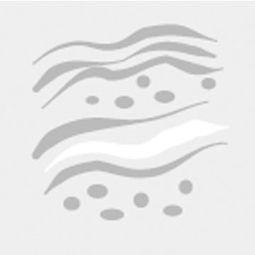 A Field View of Soil – Digging Around