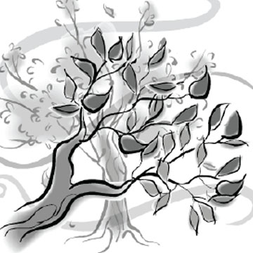 Can you Show that the Temperature of Air has an Effect on its Weight and its Direction of Vertical Movement?