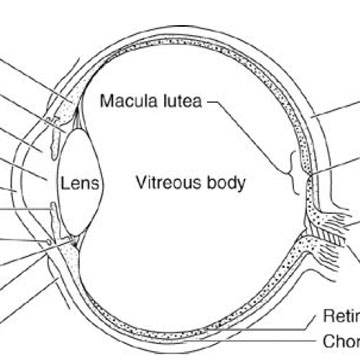 Now You See It, Now You Don’t