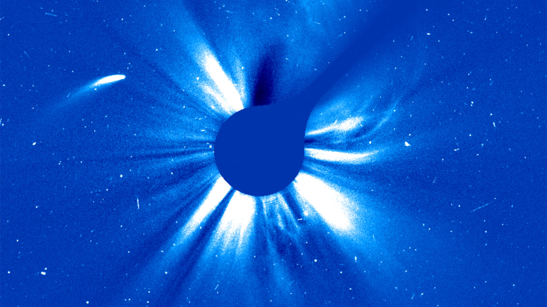 A comet's tails flare bright in this filtered view of comet 96/P Macholz passing close to the Sun.