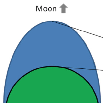Why is There a Tidal Bulge Opposite the Moon?
