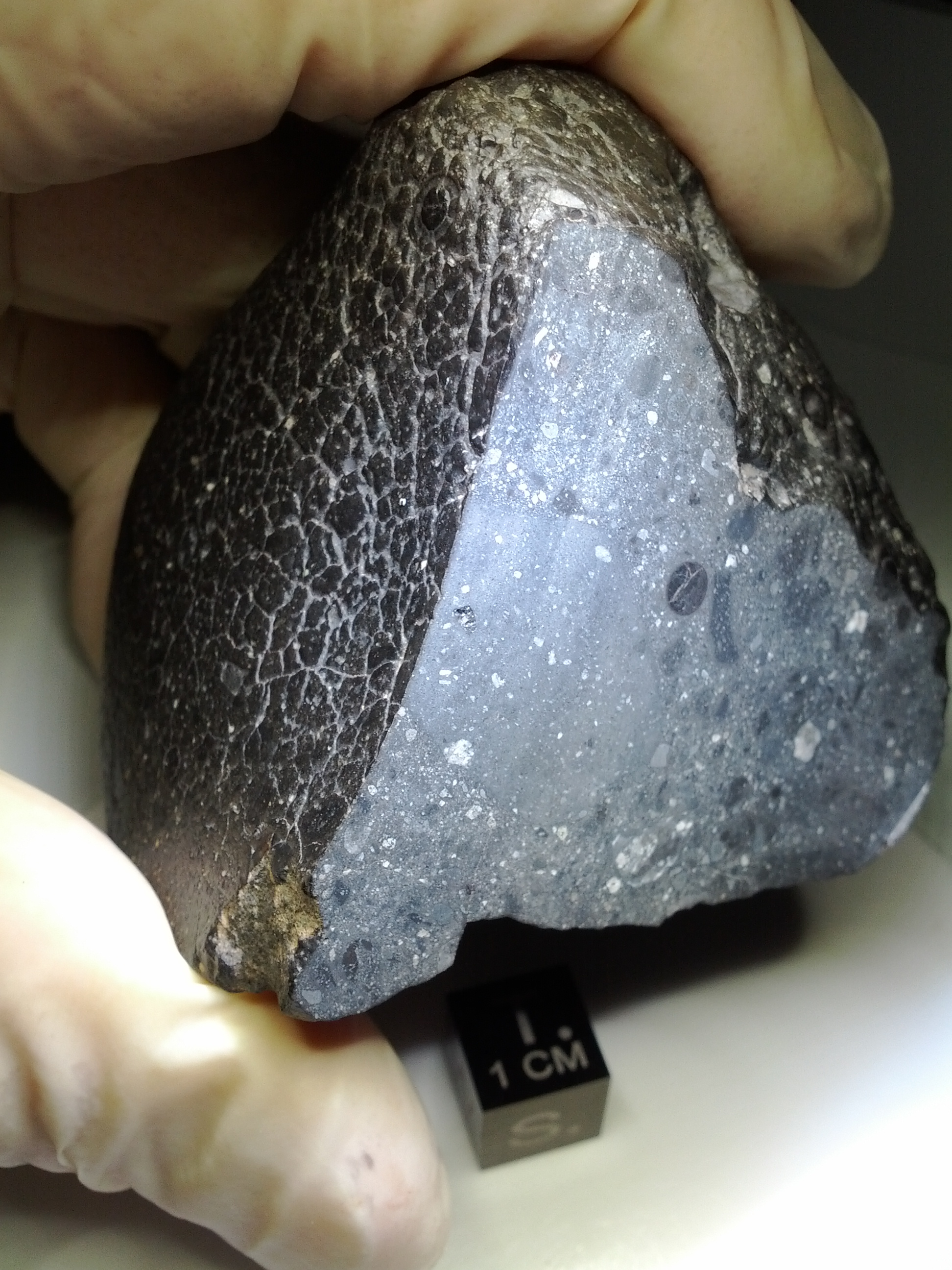 Meteorite help between finger and thumb