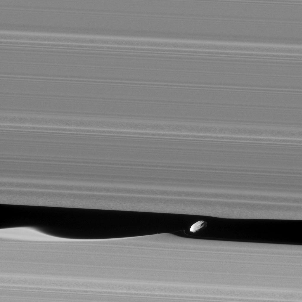Image of Daphnis taken by Cassini.