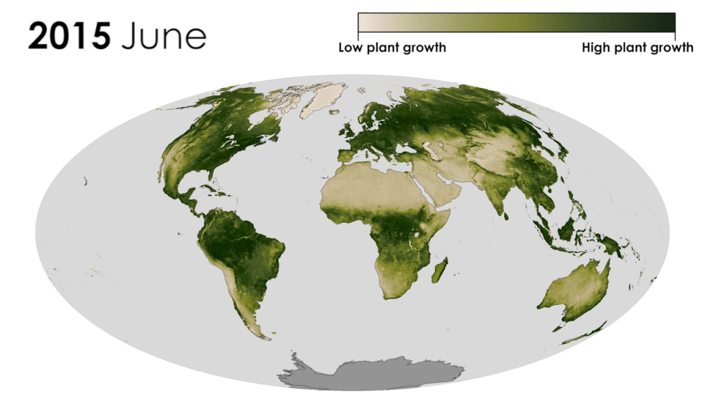 Linking Vegetation Growth to Rainfall