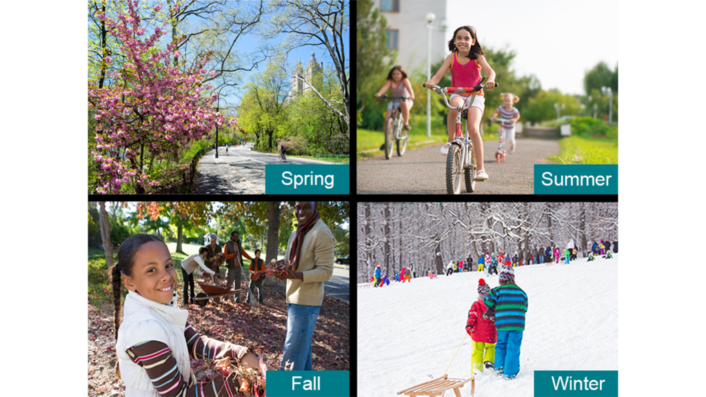 Daily and Seasonal Patterns