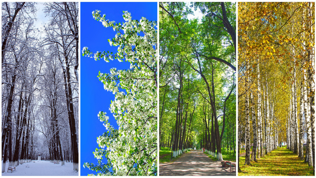 Seasonal Temperature and Precipitation Variations | Interactive Lesson