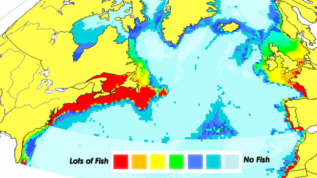 Aquaponics: Reducing Impacts of Overfishing