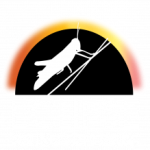 A grasshopper sits on a branch above the words Eclipse Soundscapes.