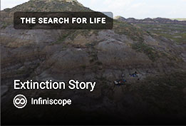 Extinction Story: Ep. 2 in The Search for Life