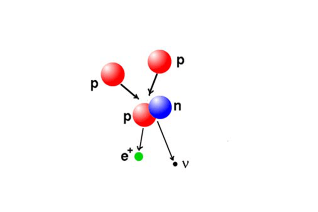 Red circles labeled P interacting with a blue circle labeled n. Arrows show a process.