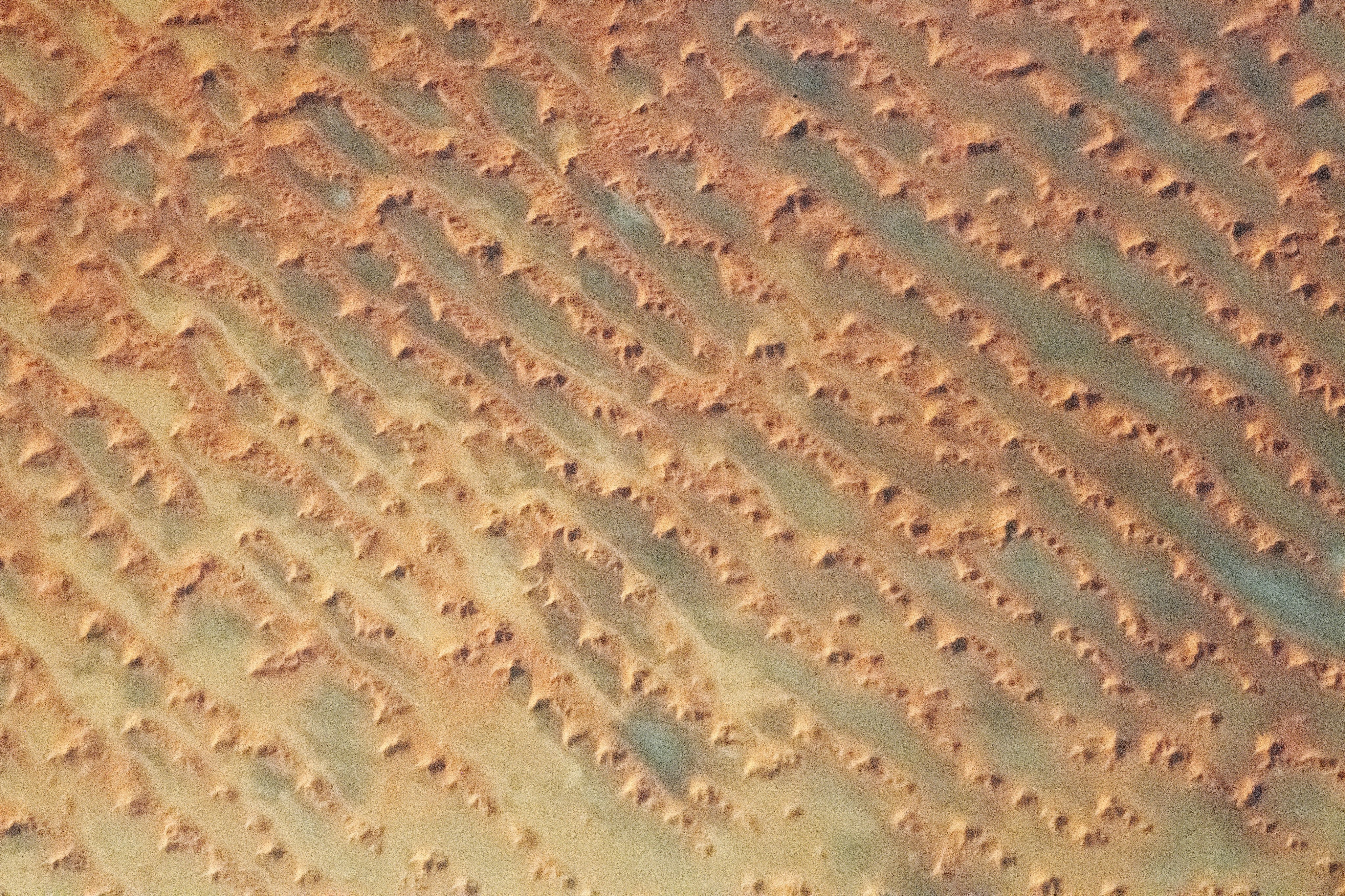A complex system of dunes in Saudi Arabia's Rub’ al Khali sand sea.