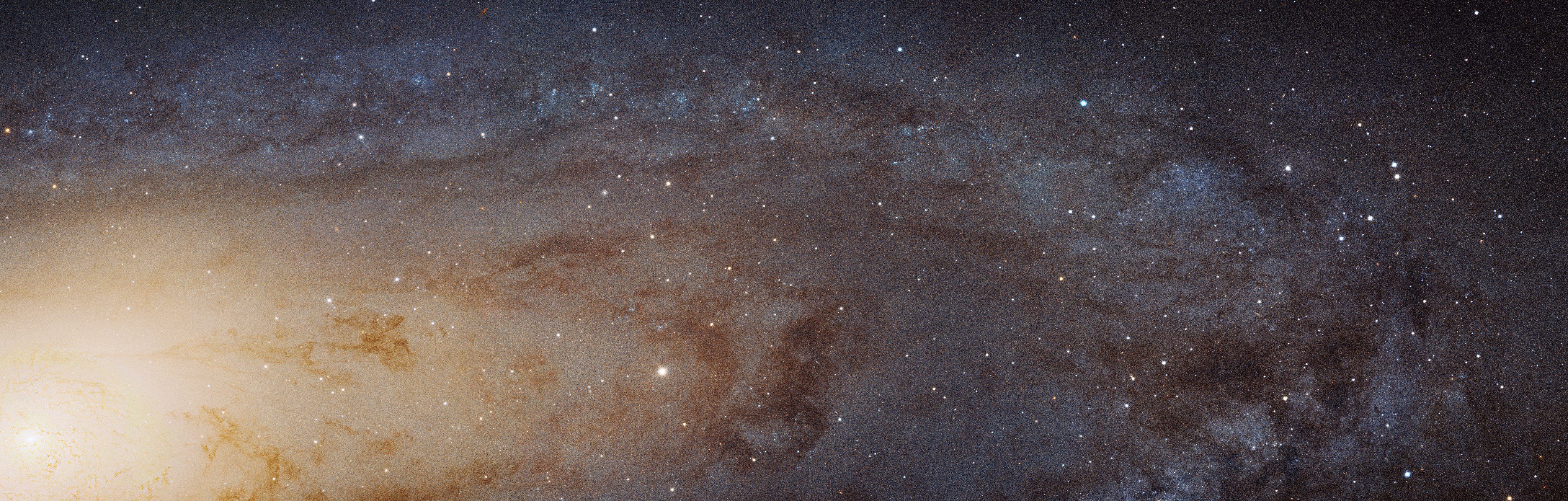 This sweeping bird's-eye view of a portion of the Andromeda galaxy (M31) shows stars, lanes of dark dust and bright core. The central region is on the left.