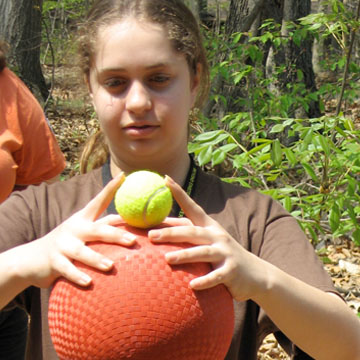 Supernova Explosions