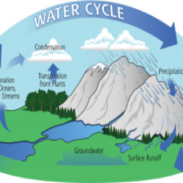Water Cycle Webquest