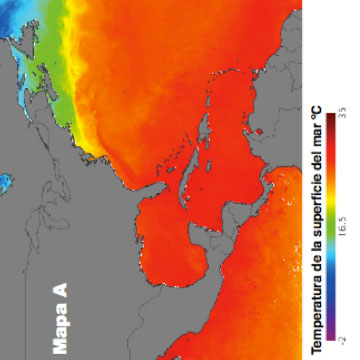 Explorando mapas de colores: Usando datos de ozono estratosférico