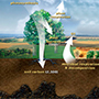 The Carbon Cycle