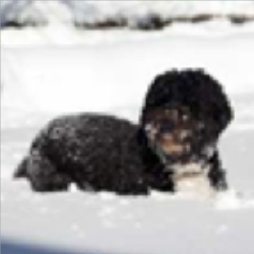 Climate Kids: It’s Cold! Is Global Warming Over?