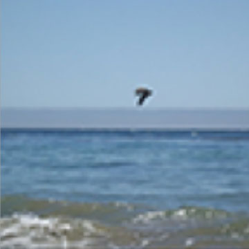 Climate Kids: How Does Climate Change Affect the Ocean?