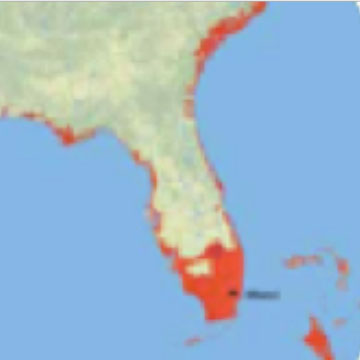 Climate Kids: Planet Health Report: Sea Level