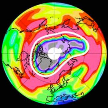 Dividing Multi-Digit Whole Numbers