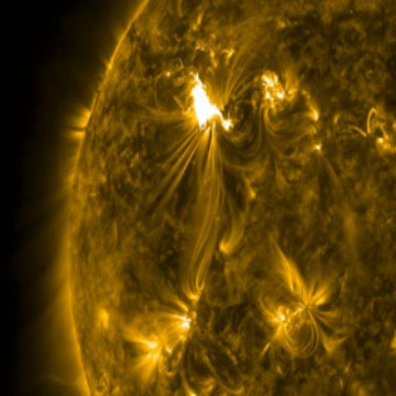 Mean, Median and Mode