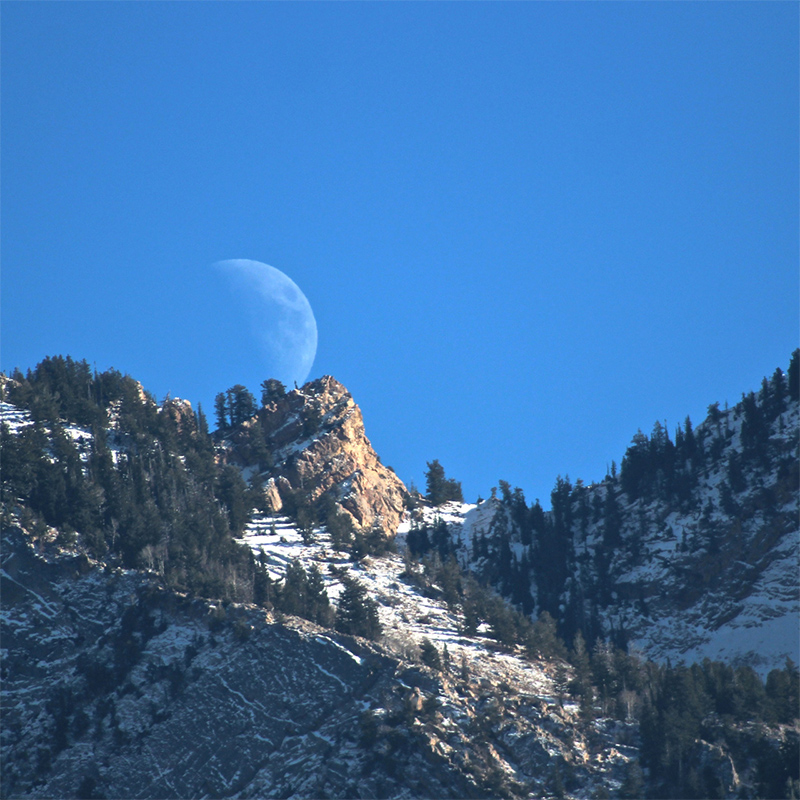 Photo of the Moon over a mountain treeline against blue sky.