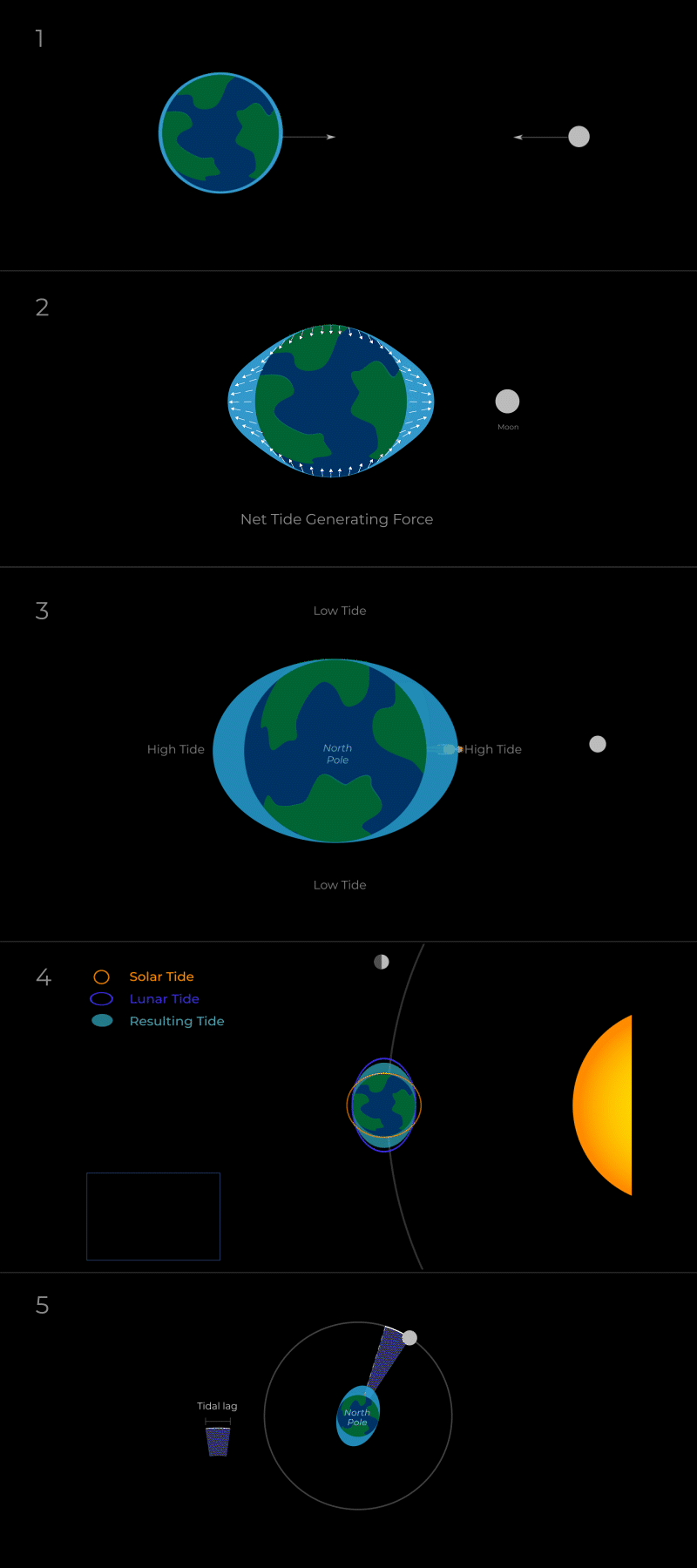 Animations of the Earth and Moon, with exaggerated representations of Earth's oceans stretching into an oblong blob (forming tides) in response to the Moon's gravitational pull. One animation also includes the Sun and its gravitational pull.
