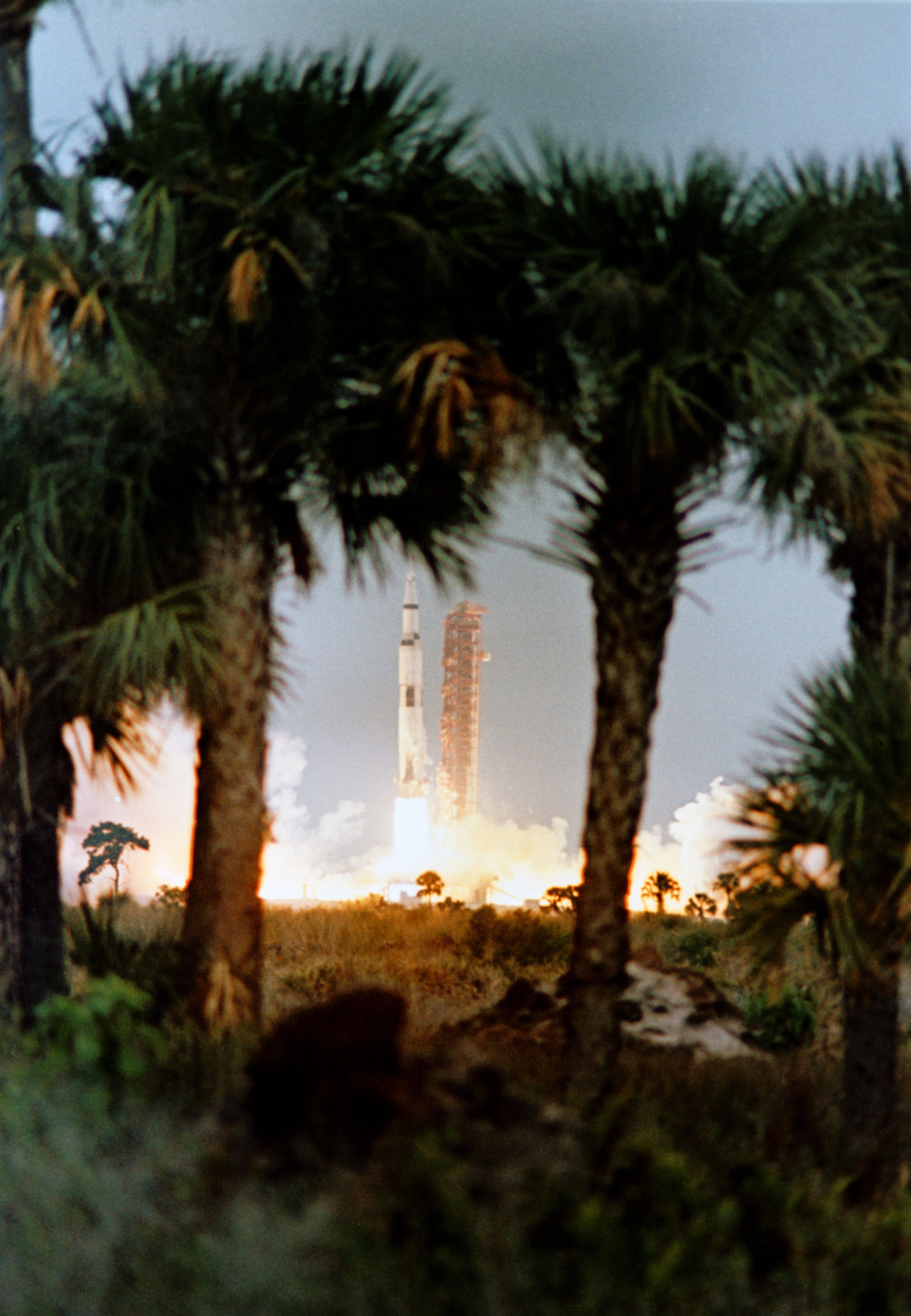 Launch of Apollo 9, framed by palm trees
