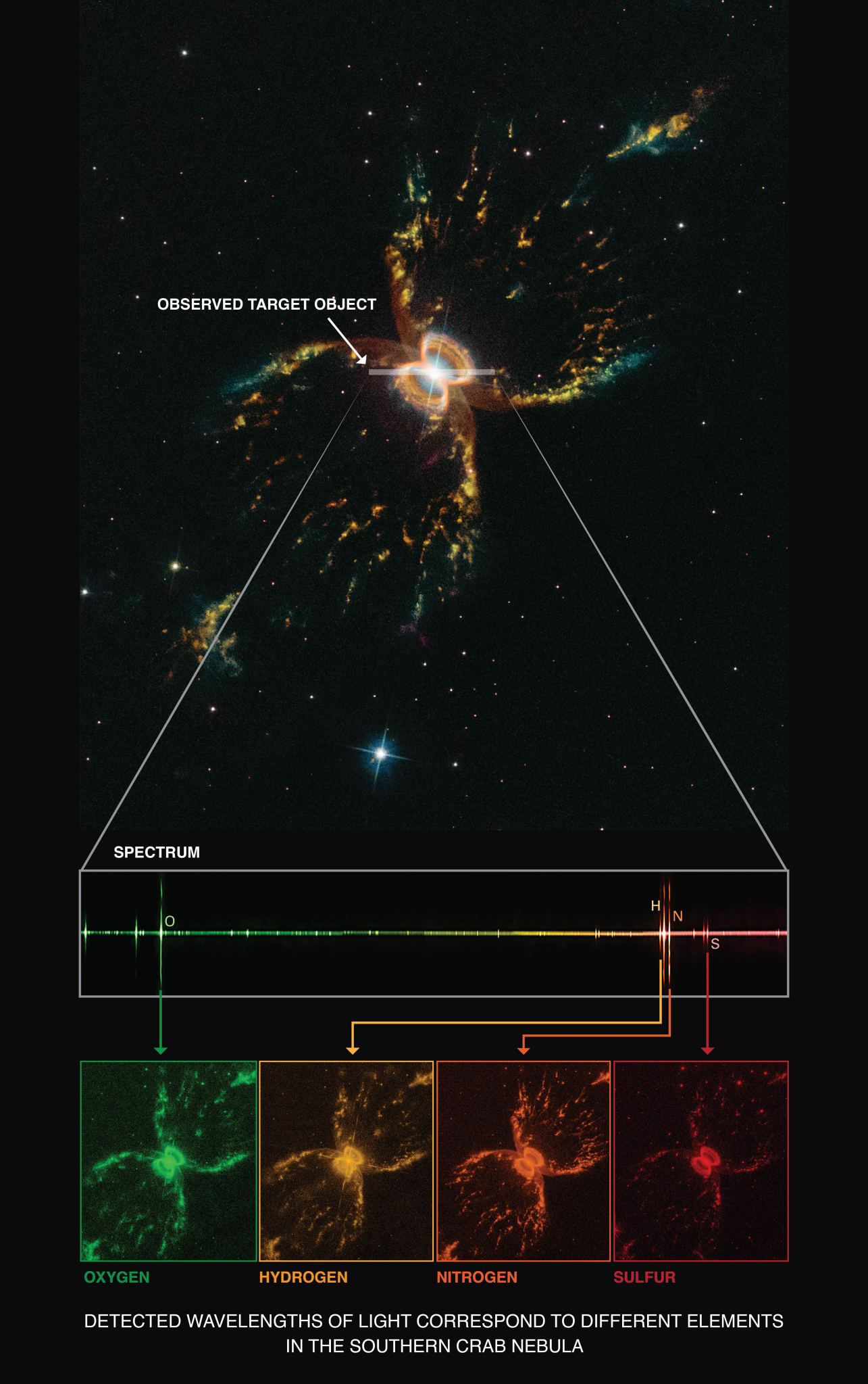 An image of the Southern Crab Nebula with a white superimposed arrow pointing to it labeled "Observed Target Object." Two lines extend down and out, leading to a horizontal line representing its spectrum. Below it, four repeated images of the Southern Crab Nebula are in green, yellow, orange, and red, from left to right. They are, respectively, labeled Oxygen, Hydrogen, Nitrogen, and Sulfur. Below that, white text reads "Detected wavelengths of light correspond to different elements in the Southern Crab Nebula."