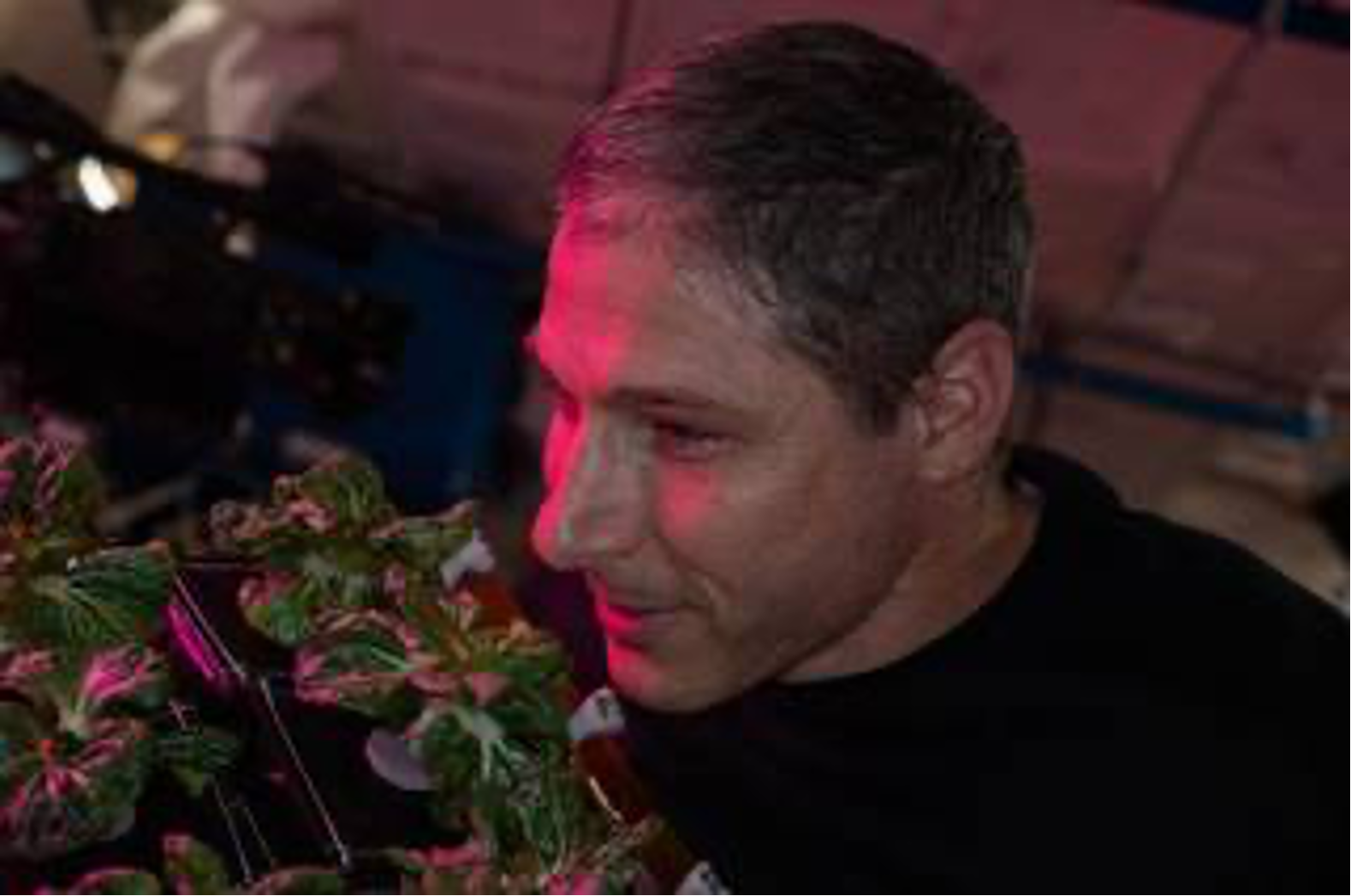 Illuminated by the glow of the Vegetable Production System (“Veggie”) chamber’s magenta LED lights, NASA astronaut Michael Hopkins smells Extra Dwarf Pak Choi, green leafy plants growing inside Veggie aboard the International Space Station.