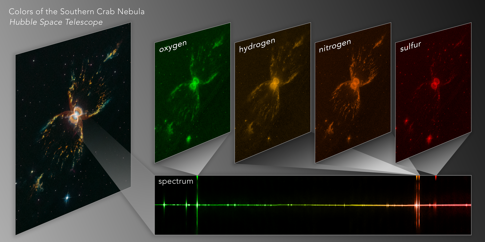 Against a gray background, this graphic shows a Hubble image of the Crab Nebula at left. To the right, four repeated images in different colors (green, yellow, orange, and red) show the different present elements in the nebula. Beneath them, a horizontal row seen as a jagged rainbow-colored line represents its spectrum.