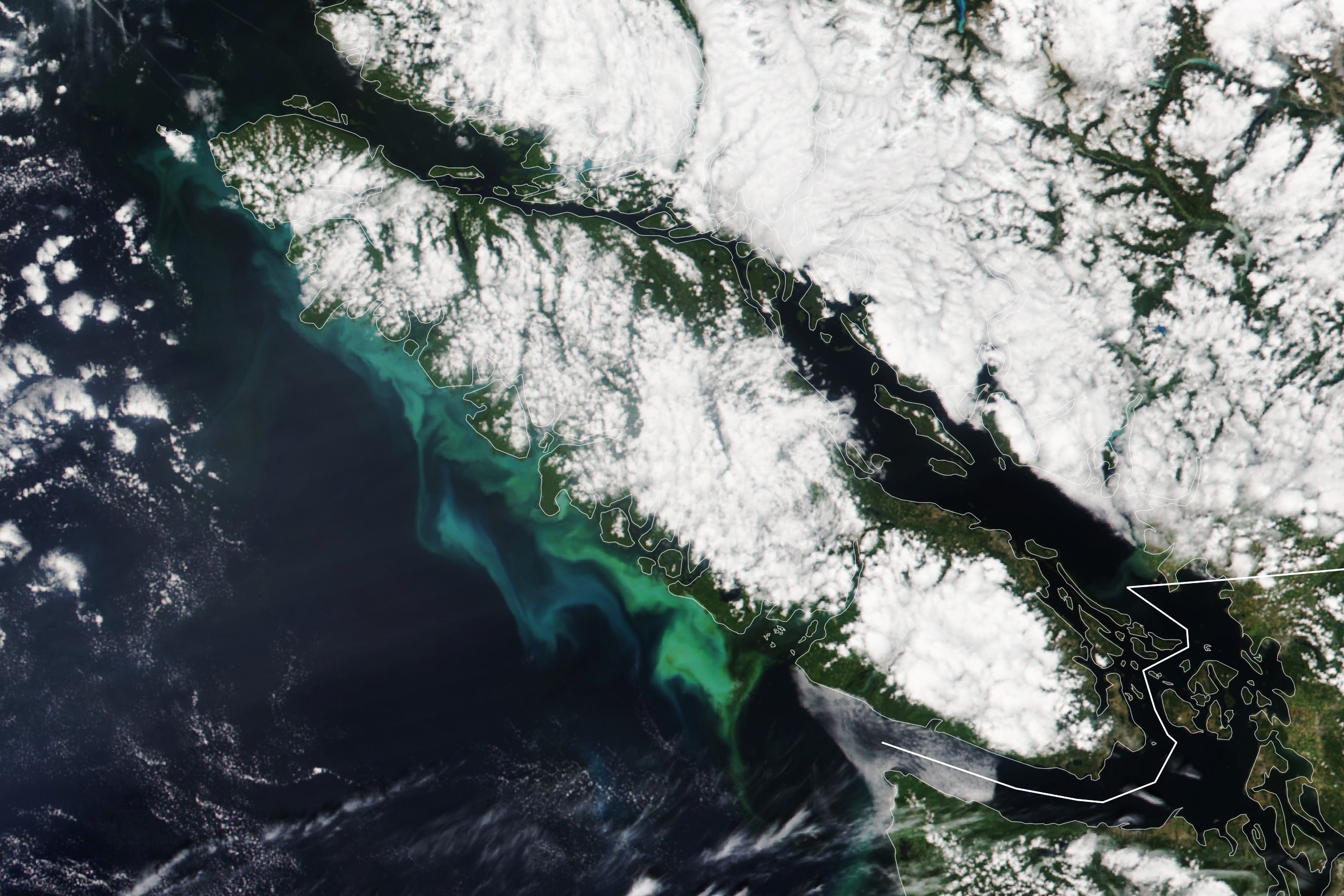 Swirls of phytoplankton and sediment brightened Vancouver Island’s coastal waters in July 2023.