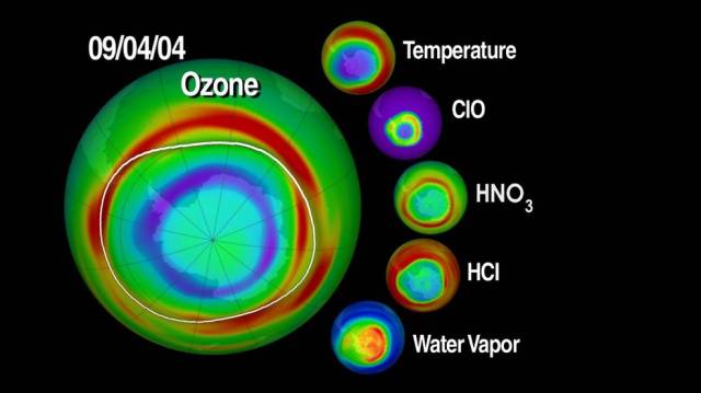 
			Ozone Measurements Out on a Limb			