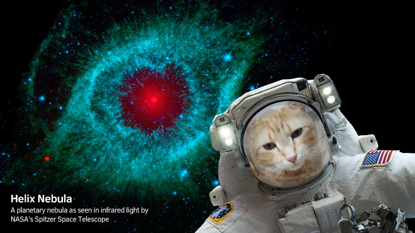 With the NASA Selfies app, you can share selfies in front of gorgeous cosmic landscapes, like the Helix Nebula, imaged by NASA's Spitzer Space Telescope. Each image contains information about the object shown. Image credit: NASA/JPL-Caltech